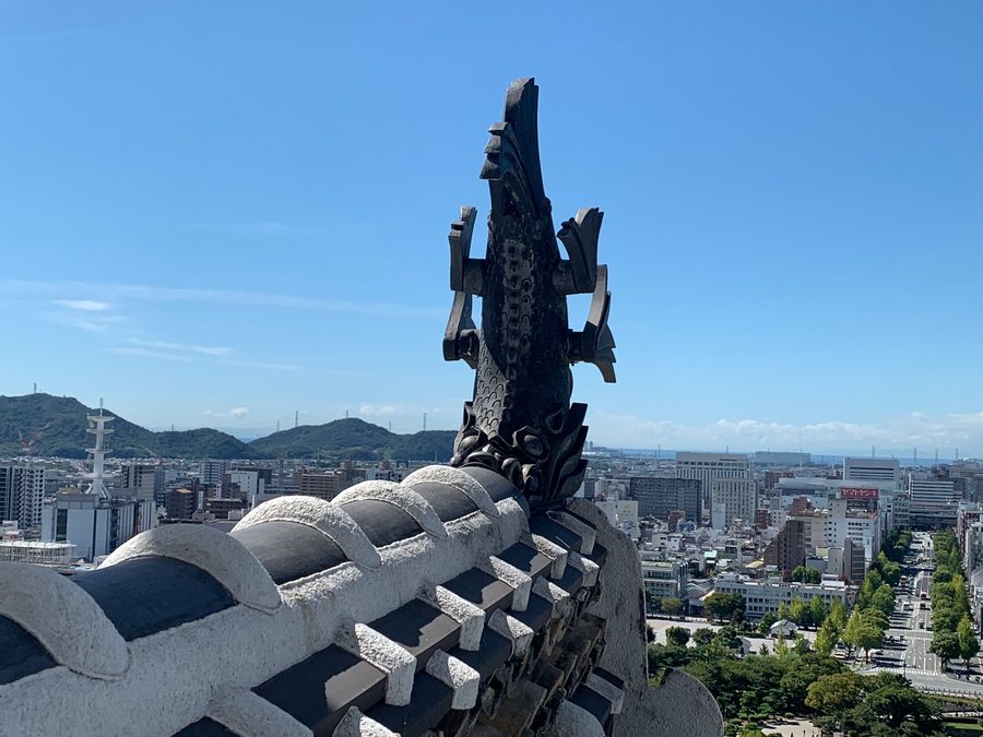 The Shachihoko